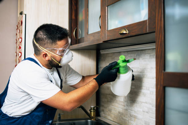 Pest Control Cost in Kerman, CA